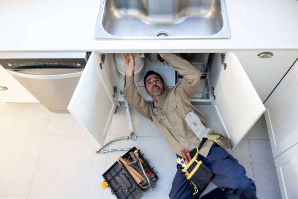 Best Local Plumber Services  in Lake Panasoffkee, FL