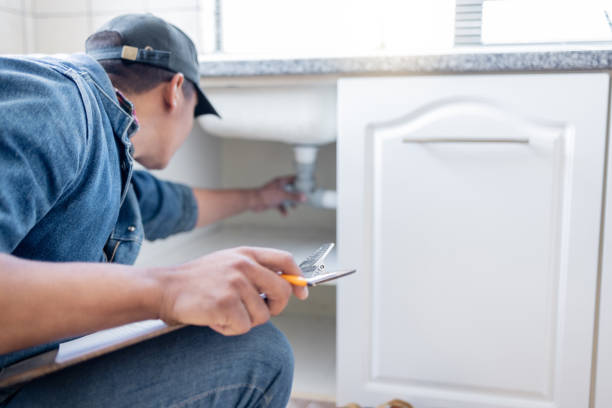 Best Sprinkler Systems  in Lake Panasoffkee, FL