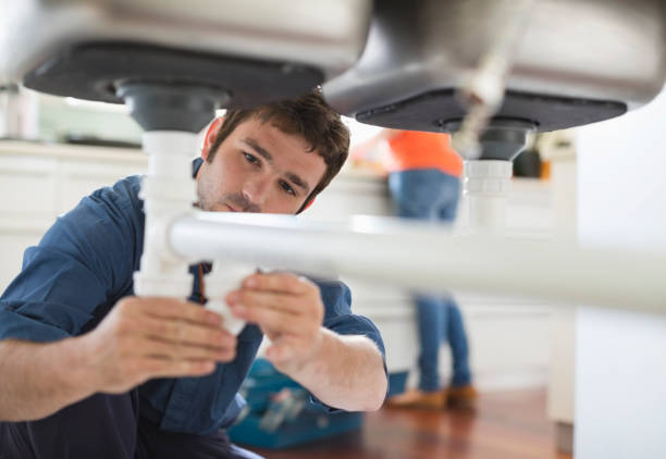 Best Hot Water Heater Installation  in Lake Panasoffkee, FL