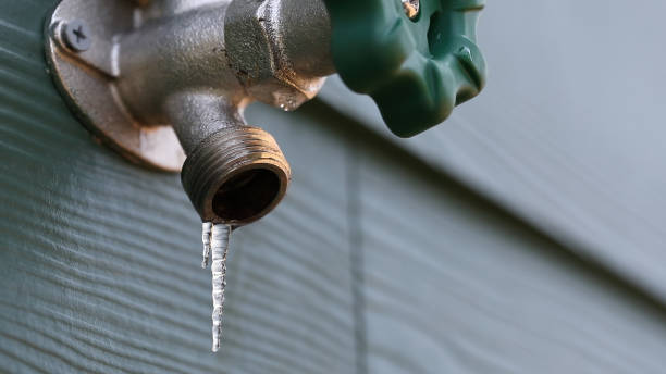 Best Gas Line Repair  in Lake Panasoffkee, FL