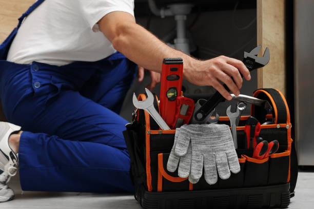 Best 24-Hour Plumber Near Me  in Lake Panasoffkee, FL