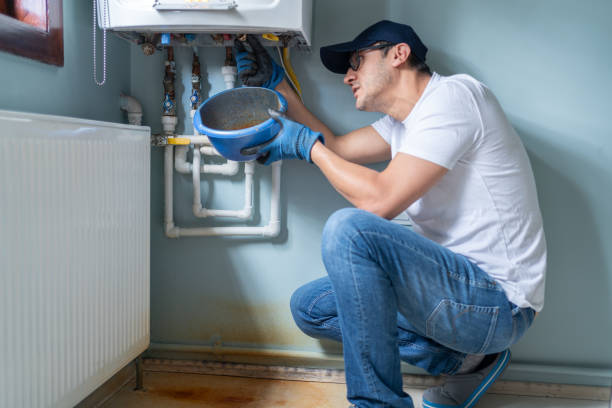 Best Same-Day Plumbing Service  in Lake Panasoffkee, FL